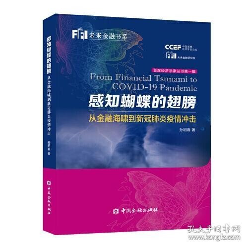 感知蝴蝶的翅膀：从金融海啸到新冠肺炎疫情冲击