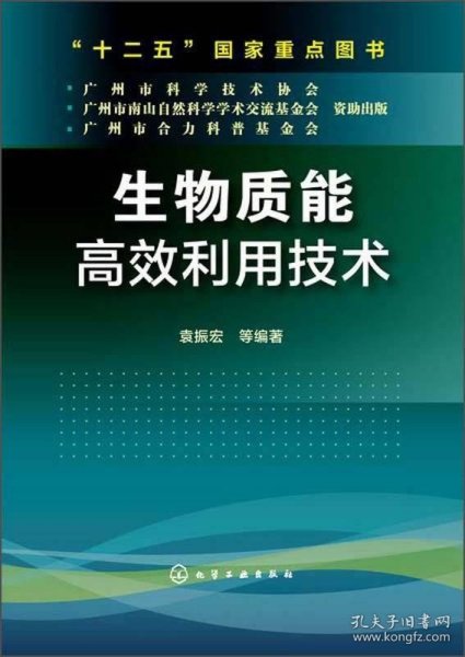 生物质能高效利用技术