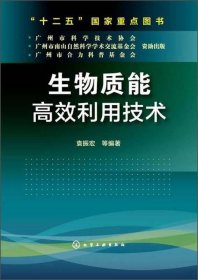 生物质能高效利用技术