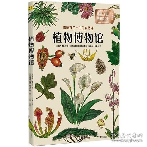 植物博物馆：影响孩子一生的自然课：北京自然博物馆馆长 孟庆金 国内著名古植物学家 孙革联合推荐！