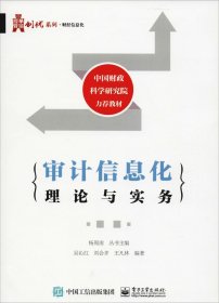 审计信息化理论与实务 