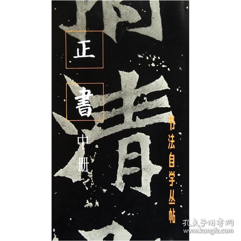 正书（中册）