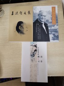 王达智：文集 书画藏品与习作 相集