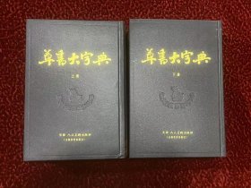 草书大字典（上下册全）
