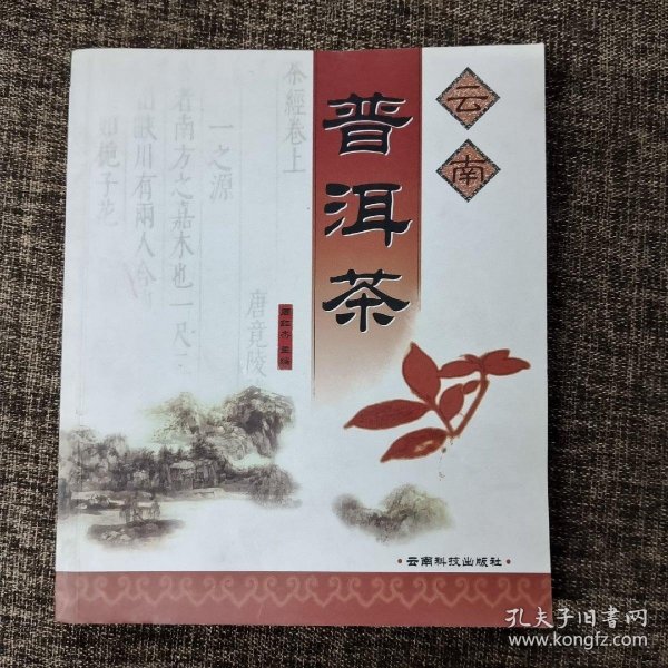 云南普洱茶