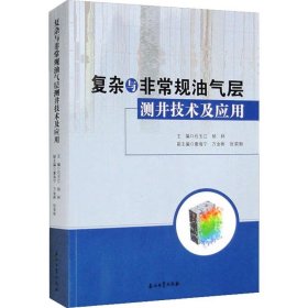 复杂与非常规油气层测井技术及应用