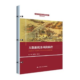 大数据税务风险防控（新编21世纪高等职业教育精品教材·智慧财经系列）