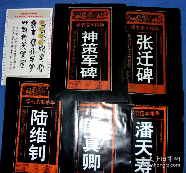 陆维钊颜真卿，潘天寿，张迁碑，神策军碑，刘江书法集，6种合售