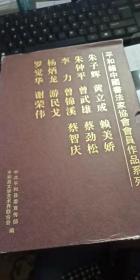 平和籍中国书法家协会会员作品系列：朱子辉等十一人  11册 盒装