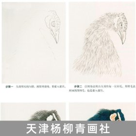 正版现货 传统工笔孔雀着染技法 王壮 编绘 孔雀画法入门教学 绘制基础入门步骤基础白描线描画谱临摹  天津杨柳青