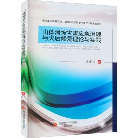 山体滑坡灾害应急治理与灾后修复理论与实践