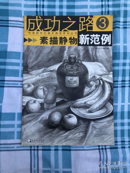 成功之路：素描静物新范例3