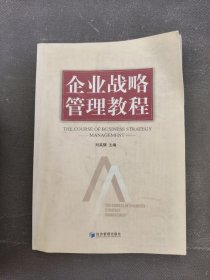 企业战略管理教程