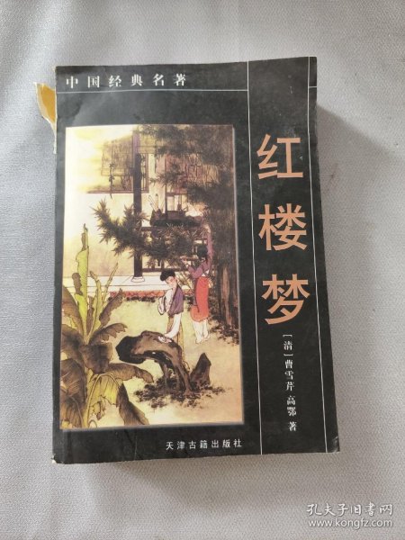 红楼梦——中国经典名著
