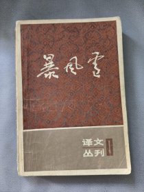 暴风雪：译文丛刊（第一辑）