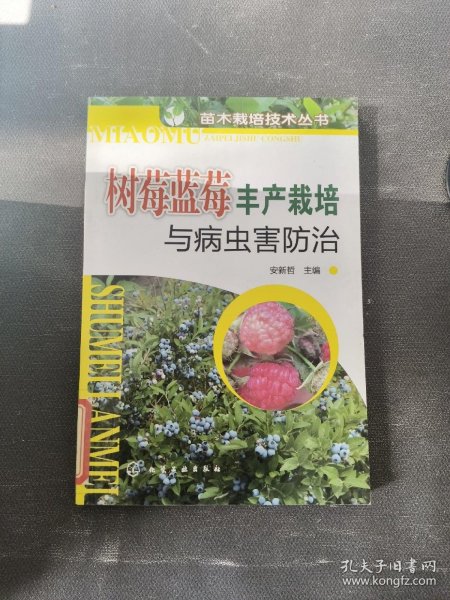 树莓蓝莓丰产栽培与病虫害防治