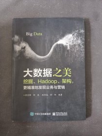 大数据之美：挖掘、Hadoop、架构，更精准地发现业务与营销