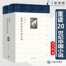 现货正版 重读20世纪中国小说(精装全二册）许子东 著 理想国图书 许子东经典课堂20世纪文学的地图 现代文学课 上海三联书店