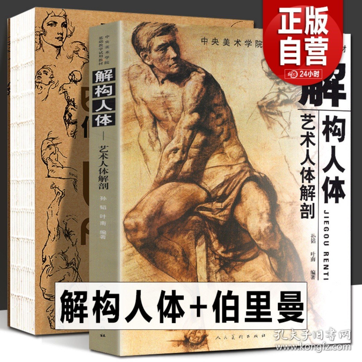 【2册548页】解构人体+伯里曼人体结构绘画教学 中央美术学院入门基础教材教程骨骼肌肉全身艺术人体解剖造型雕塑素描速写临摹书籍