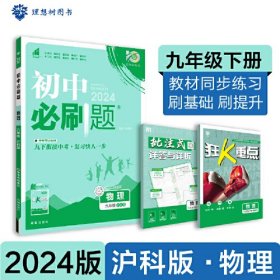 2024版理想树初中必刷题九年级下册 物理 课本同步练习题 沪科版