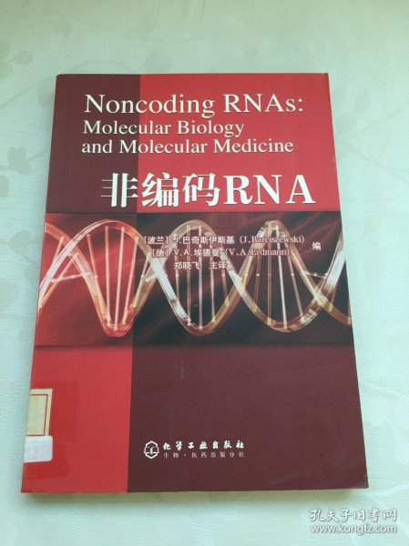 非编码RNA