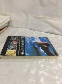 西方绘画材料技法手册