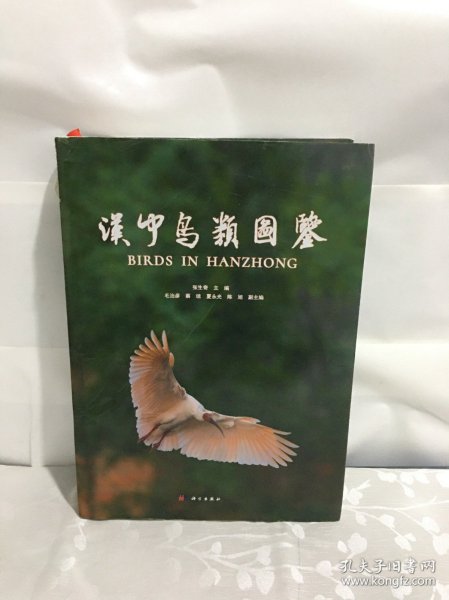 汉中鸟类图鉴