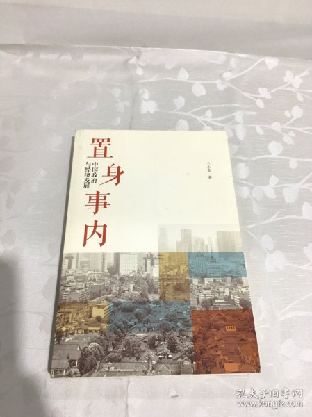 置身事内：中国政府与经济发展（罗永浩、刘格菘、张军、周黎安、王烁联袂推荐，复旦经院“毕业课”）