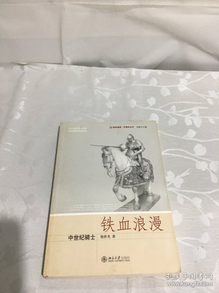 铁血浪漫：中世纪骑士