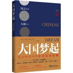 大国梦起:变动秩序中的中国发展进路