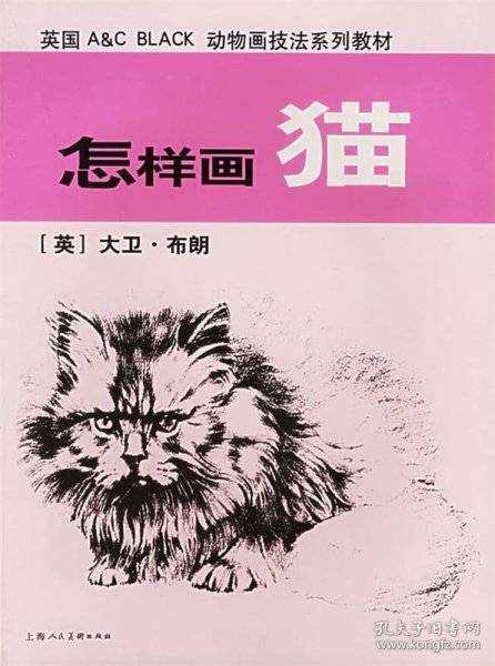 怎样画猫