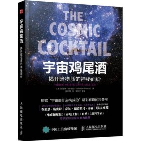 宇宙鸡尾酒：揭开暗物质的神秘面纱