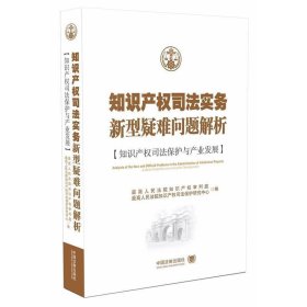 知识产权司法实务新型疑难问题解析：专利、商标与著作权热点问题