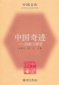 中国奇迹：回顾与展望