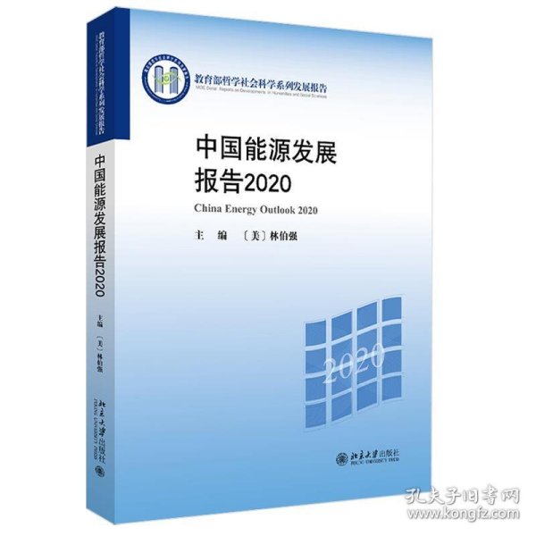 中国能源发展报告2020