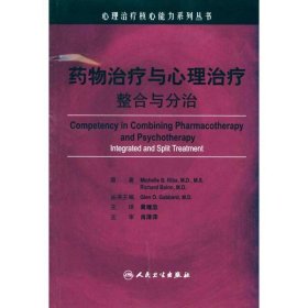 心理治疗核心能力系列丛书·药物治疗与心理治疗（翻译版）