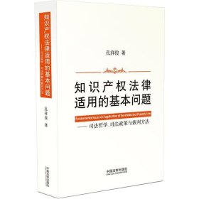 知识产权法律适用的基本问题：司法哲学、司法政策与裁判方法