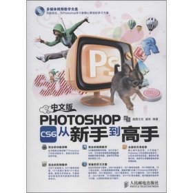 中文版Photoshop CS6从新手到高手