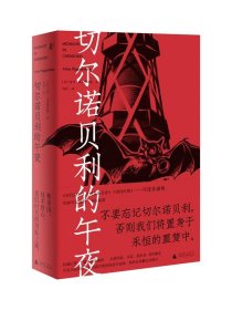 切尔诺贝利的午夜（《纽约时报》《时代周刊》年度图书）