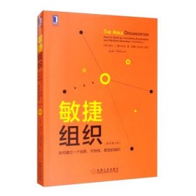 敏捷组织：如何建立一个创新、可持续、柔性的组织