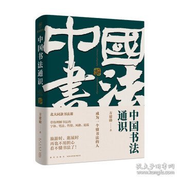 中国书法通识（北大爆款书法课，带你成为一个懂书法的人 得到图书 方建勋）