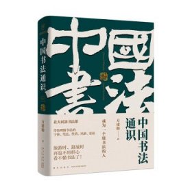 中国书法通识（北大爆款书法课，带你成为一个懂书法的人 得到图书 方建勋）