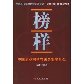 榜样-中国企业向世界级企业学什么