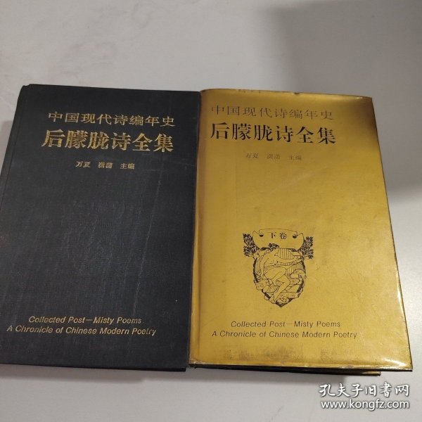 后朦胧诗全集：中国现代诗编年史