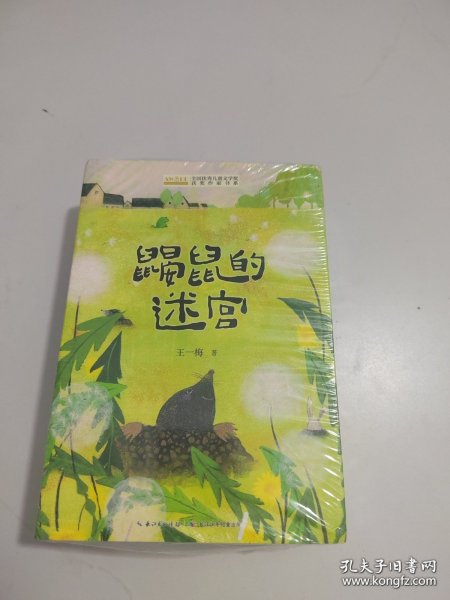 全国优秀儿童文学奖获奖作家书系——战争在晚自习后爆发