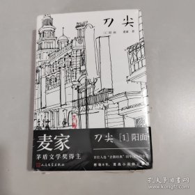 刀尖2：阴面（精装）