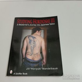 Studying Horiyoshi III
