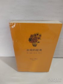 亲爱的提奥：凡高自传