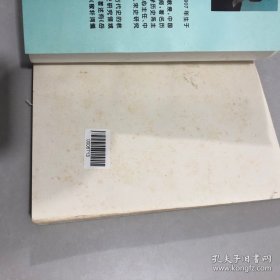 北宋政治改革家王安石