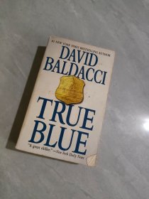 DAVID BALDACCI TRUE BLUE